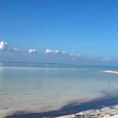 Barco Verde Hostel Isla Holbox ภายนอก รูปภาพ