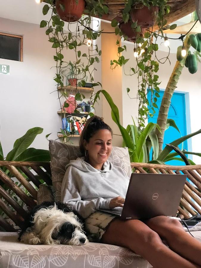 Barco Verde Hostel Isla Holbox ภายนอก รูปภาพ