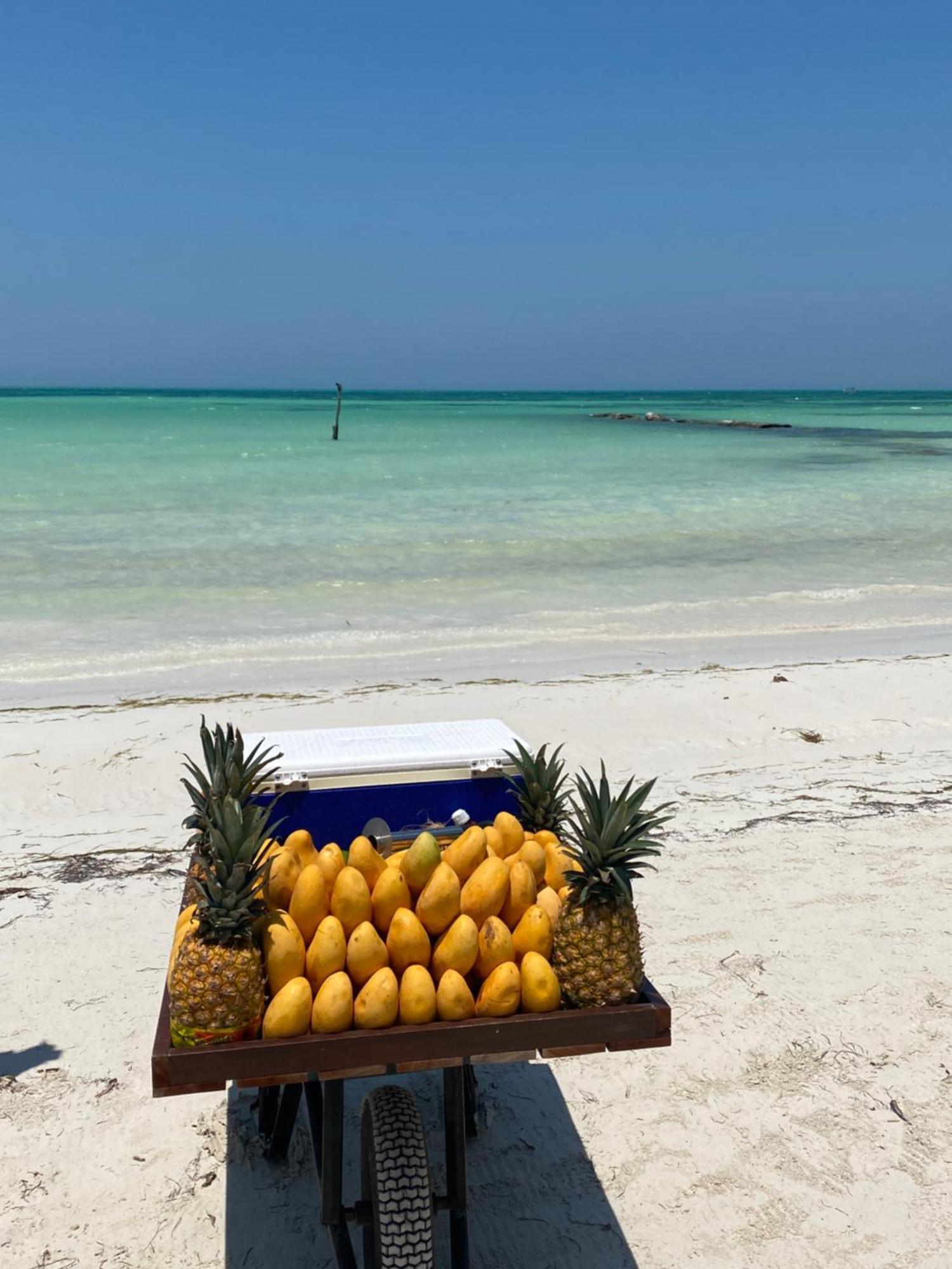 Barco Verde Hostel Isla Holbox ภายนอก รูปภาพ