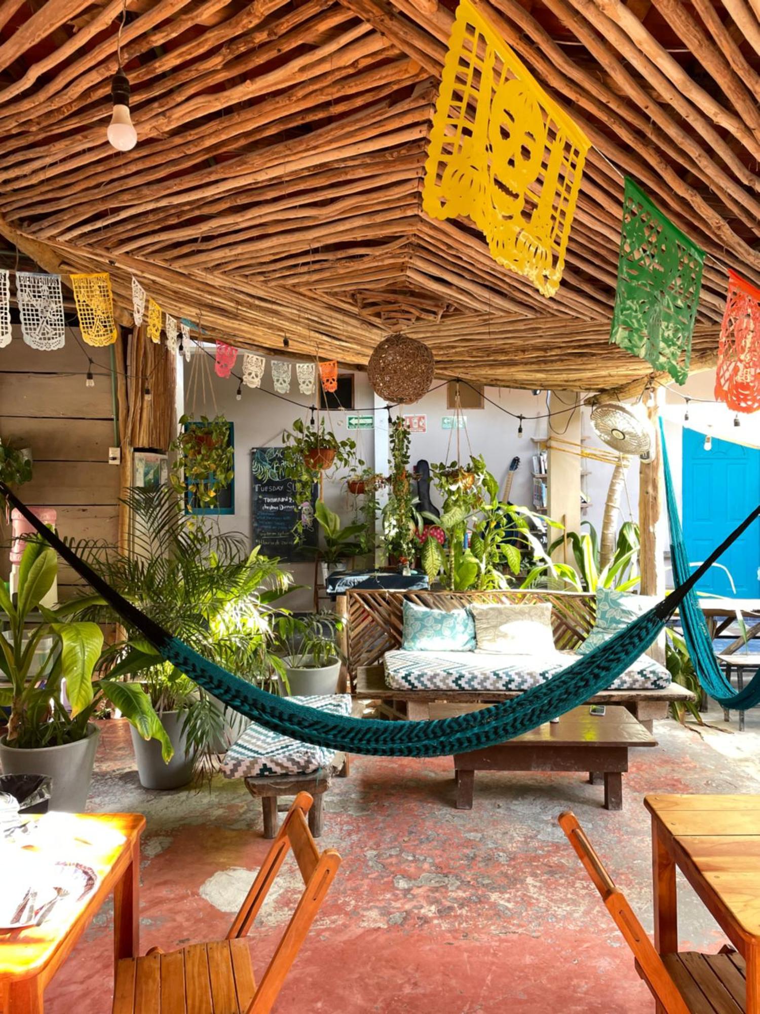 Barco Verde Hostel Isla Holbox ภายนอก รูปภาพ